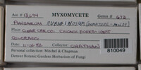 Image Associated With the Occurence